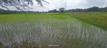 1 BHK Farm House for Sale in Maheshwaram, Rangareddy