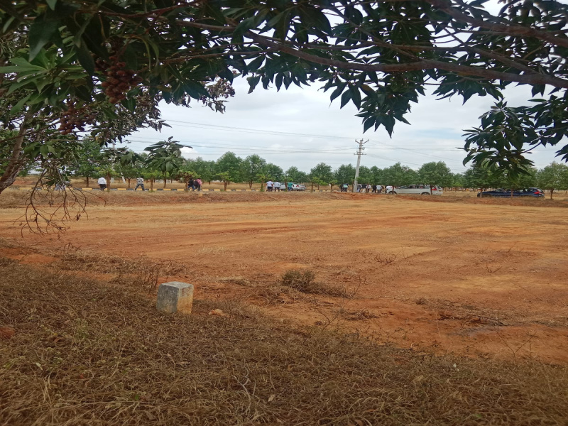  Residential Plot 165 Sq. Yards for Sale in Yacharam Mandal, Hyderabad