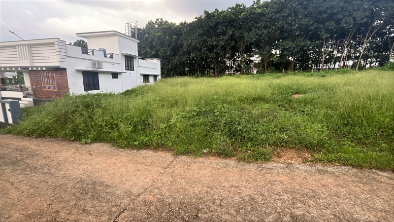  Residential Plot 10 Cent for Sale in Pathanapuram, Kollam
