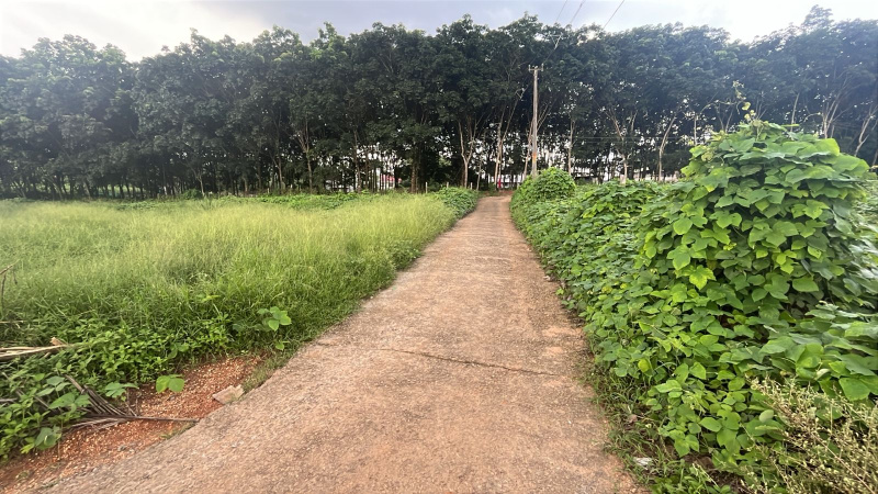  Residential Plot 10 Cent for Sale in Pathanapuram, Kollam