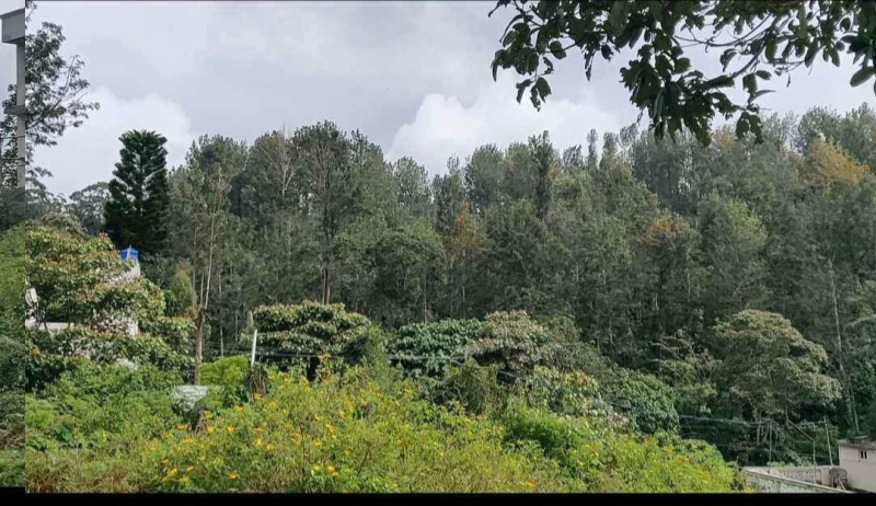  Residential Plot 2000 Sq.ft. for Sale in Yercaud, Salem