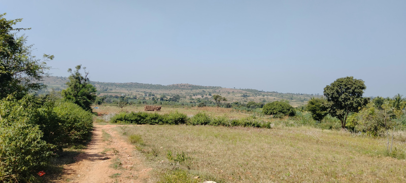  Residential Plot 12 Acre for Rent in Shoolagiri, Krishnagiri