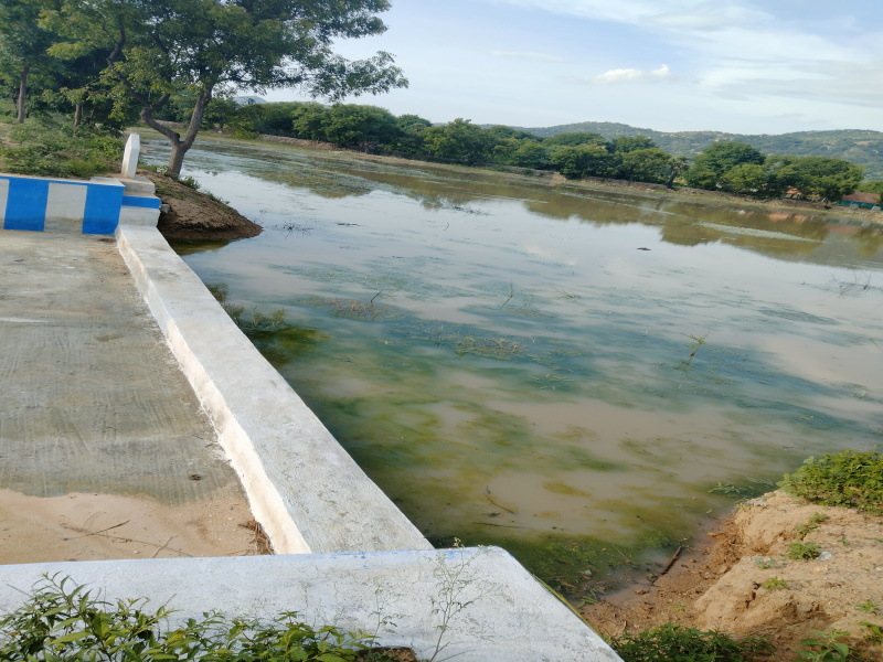  Residential Plot 12 Acre for Rent in Shoolagiri, Krishnagiri
