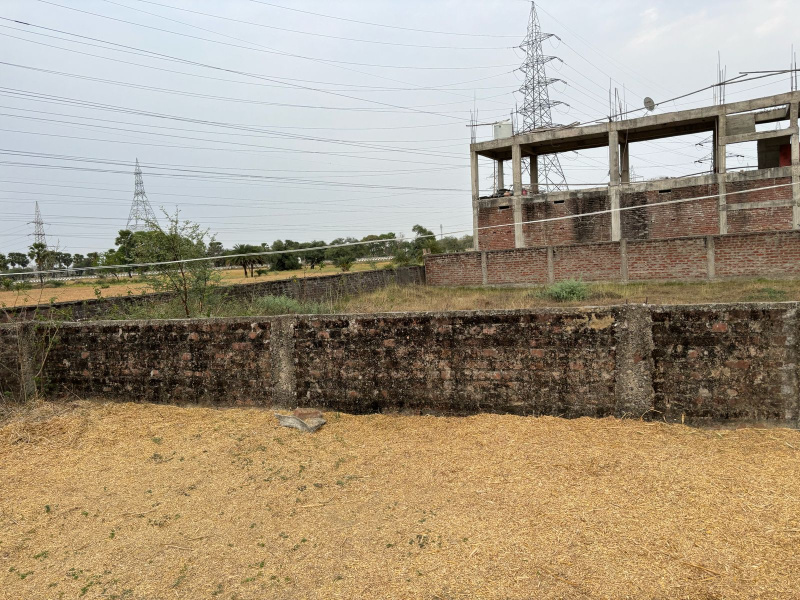  Residential Plot 1360 Sq.ft. for Sale in Bodhgaya, Gaya