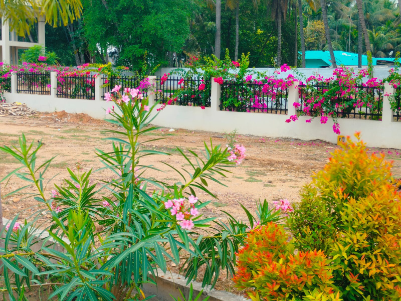  Residential Plot 436 Sq.ft. for Sale in Nanjundapuram, Coimbatore