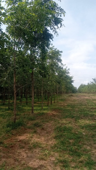  Commercial Land 200 Sq.ft. for Sale in Bhogapuram, Visakhapatnam