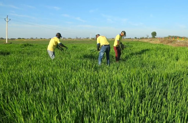  Factory 744 Bigha for Sale in Kekri, Ajmer