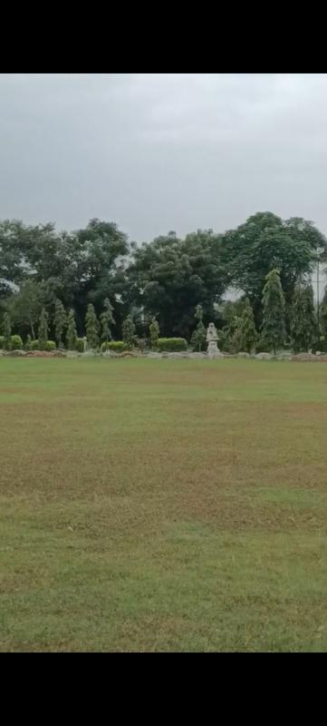  Agricultural Land 69700 Sq. Meter for Sale in Achrol, Jaipur