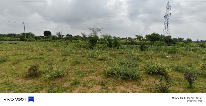  Residential Plot 100 Bigha for Sale in Phulera, Jaipur