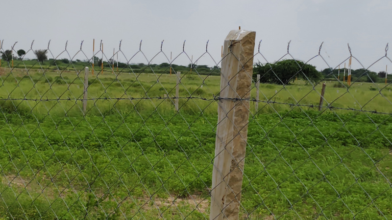  Agricultural Land 7 Bigha for Sale in Phulera, Jaipur