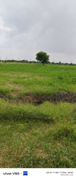  Agricultural Land for Sale in Delhi Road, Jaipur