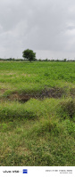  Agricultural Land for Sale in Amer, Jaipur