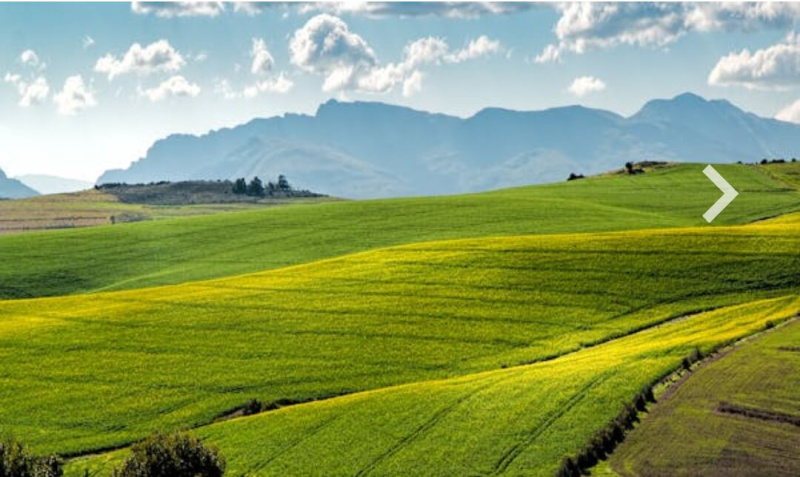  Agricultural Land 20 Bigha for Sale in Mansarovar, Jaipur