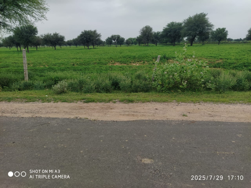  Agricultural Land 15 Bigha for Sale in Kalwar Road, Jaipur