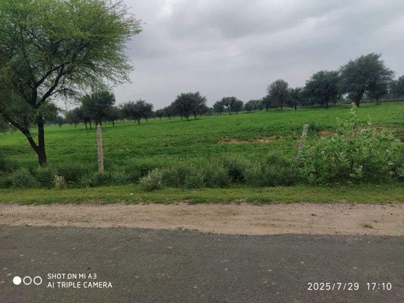  Agricultural Land 120 Bigha for Sale in Delhi Road, Jaipur