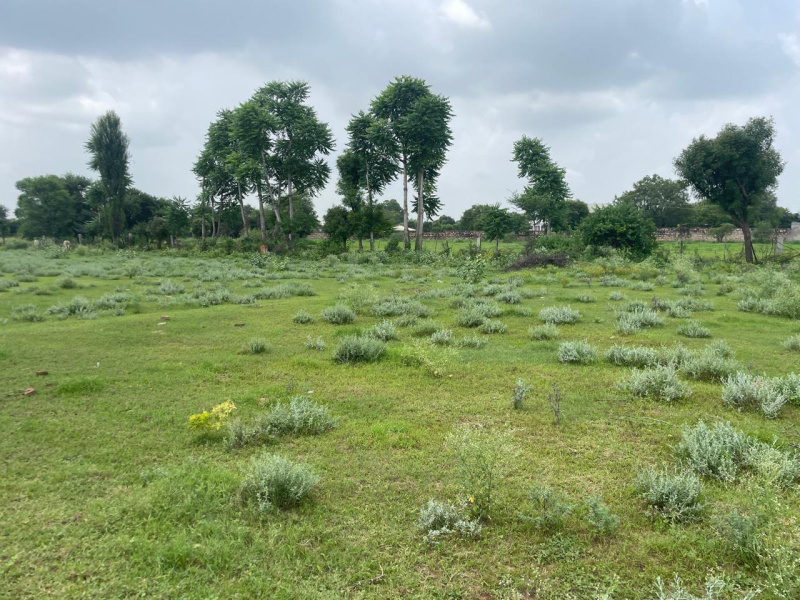  Agricultural Land 26 Bigha for Sale in Mahal Road, Jagatpura, Jaipur