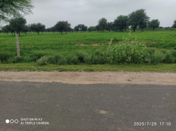  Agricultural Land for Sale in Ajmer Road, Jaipur