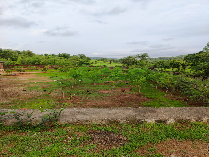 4 BHK 70 Guntha Farm House for Sale in Morba, Raigad