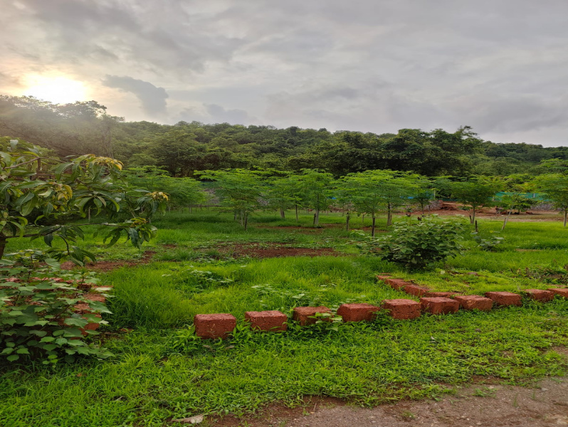 4 BHK 70 Guntha Farm House for Sale in Morba, Raigad