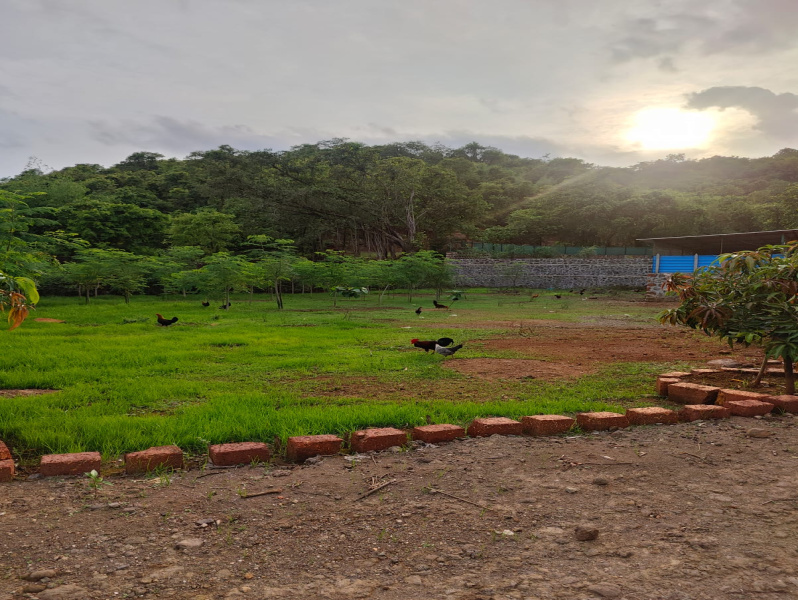 4 BHK 70 Guntha Farm House for Sale in Morba, Raigad