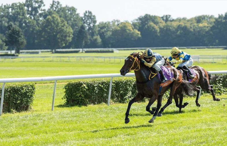 2 BHK 557 Sq.ft. Apartment for Sale in Byculla West, Mumbai