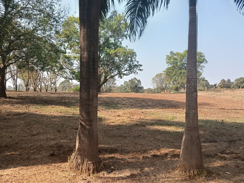  3200 Sq.ft. Residential Plot for Sale in Karjat, Raigad
