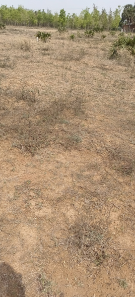  Residential Plot 871 Sq.ft. for Sale in Thirupanamoor, Kanchipuram