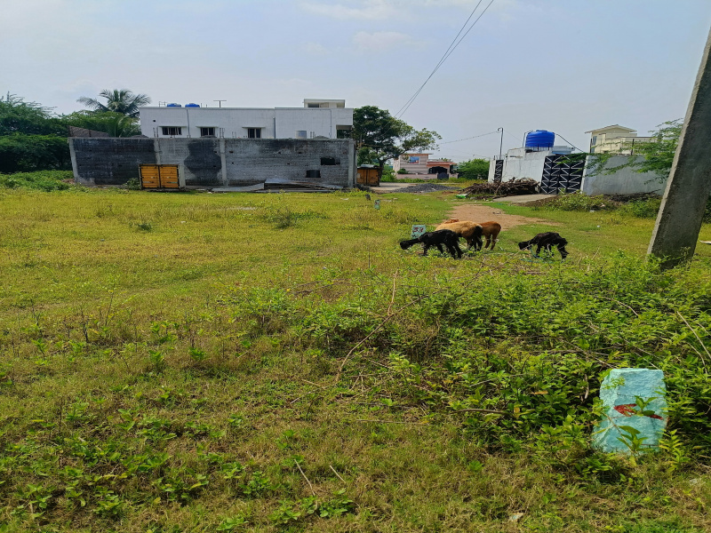  Residential Plot 1827 Sq.ft. for Sale in Thorapadi Vellore