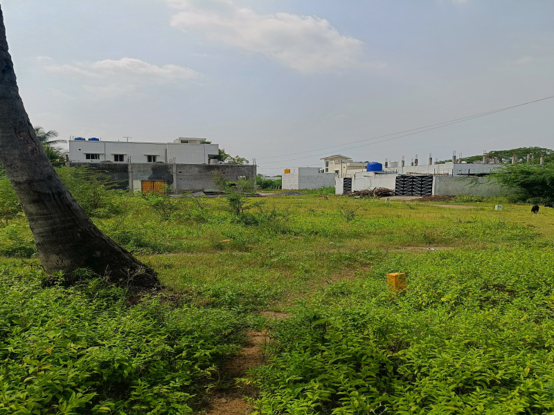  Residential Plot 1827 Sq.ft. for Sale in Thorapadi Vellore