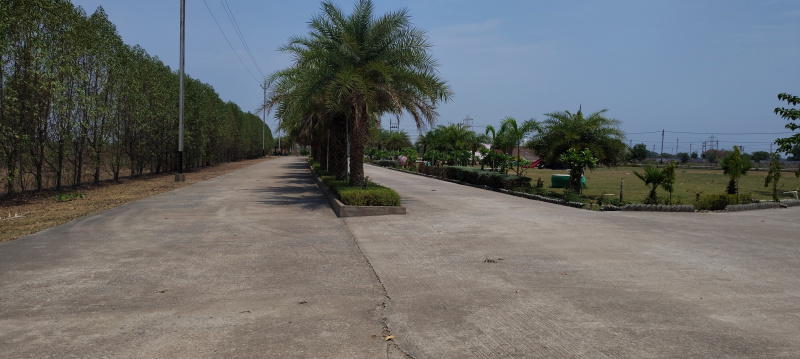  Residential Plot 1000 Sq.ft. for Sale in Raipur Road, Bilaspur