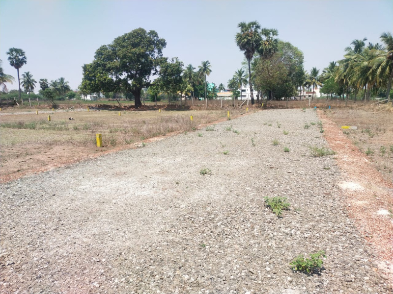  Residential Plot 1200 Sq.ft. for Sale in Gundur, Tiruchirappalli