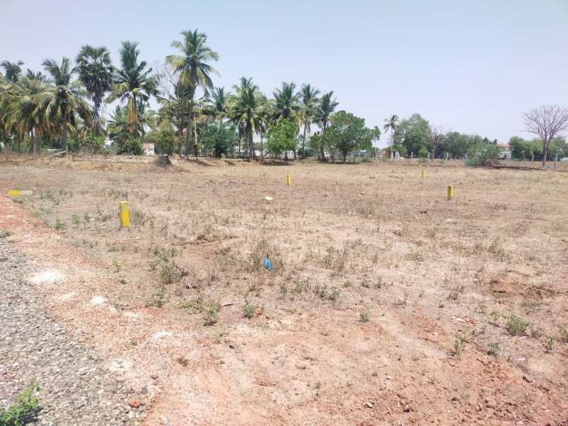  Residential Plot 1200 Sq.ft. for Sale in Gundur, Tiruchirappalli
