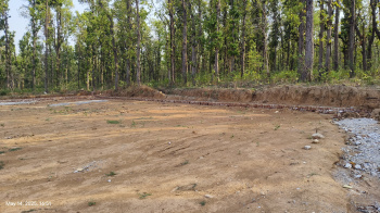  Residential Plot for Sale in Raipur, Dehradun