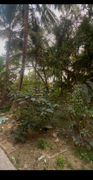  Residential Plot 1440 Sq.ft. for Sale in Madhyamgram, Kolkata