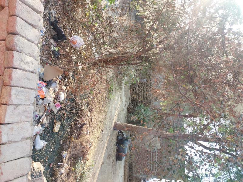  Residential Plot 1000 Sq.ft. for Sale in Jalesar Road, Firozabad