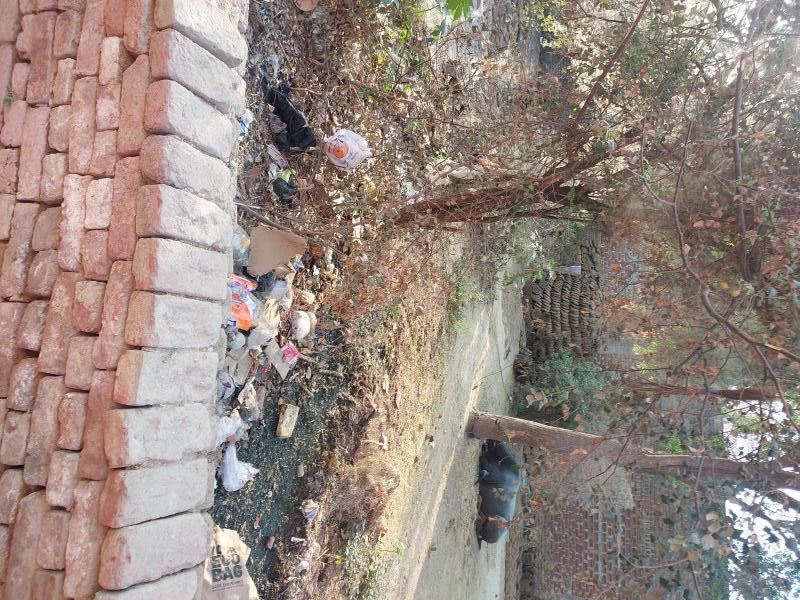  Residential Plot 1000 Sq.ft. for Sale in Jalesar Road, Firozabad
