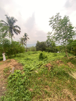  Residential Plot for Sale in Perinthalmanna, Malappuram