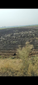  Agricultural Land for Sale in Chevella Mandla, Hyderabad