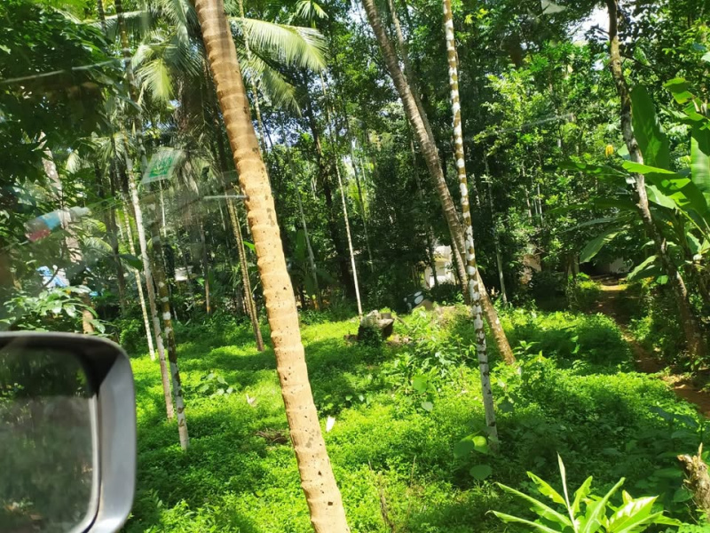  Commercial Land 13 Sq.ft. for Sale in Mukkam, Kozhikode