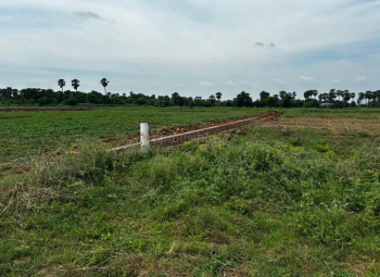  Residential Plot for Sale in Beldari Chak, Patna