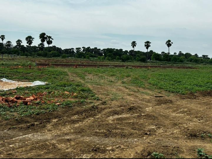  Residential Plot 1200 Sq.ft. for Sale in Beldari Chak, Patna