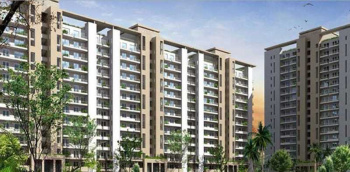 3 BHK Builder Floor for Sale in Sector 50 Gurgaon