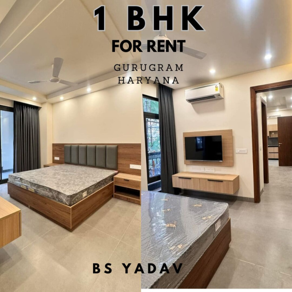 1 BHK Apartment 1250 Sq.ft. for Rent in Sector 42 Gurgaon