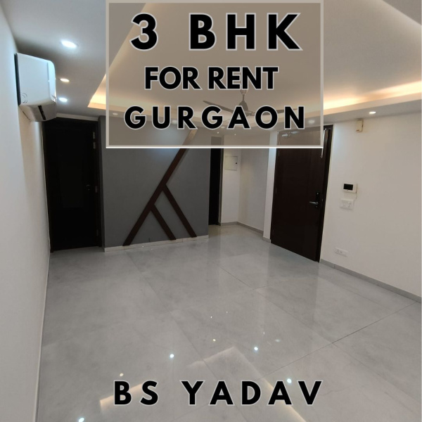 3 BHK Apartment 1665 Sq.ft. for Rent in Sector 42 Gurgaon