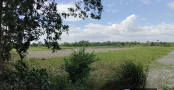  Factory for Sale in Rosera, Samastipur