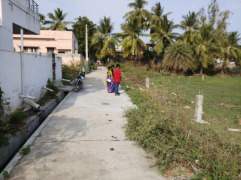  Residential Plot for Sale in Penuguduru, Kakinada