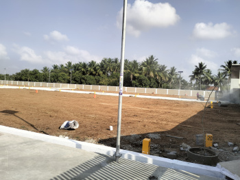  Residential Plot for Sale in Cantonment, Tiruchirappalli