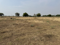  Agricultural Land for Sale in Hindupur, Anantapur