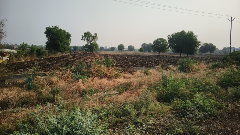  Agricultural Land 57000 Sq.ft. for Sale in Nandura, Buldana