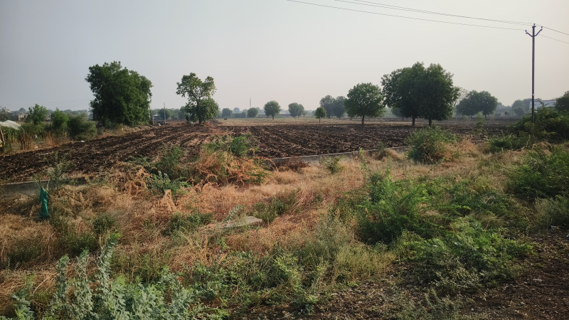 Agricultural Land 57000 Sq.ft. for Sale in Nandura, Buldana